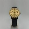 Omega Genève Gold