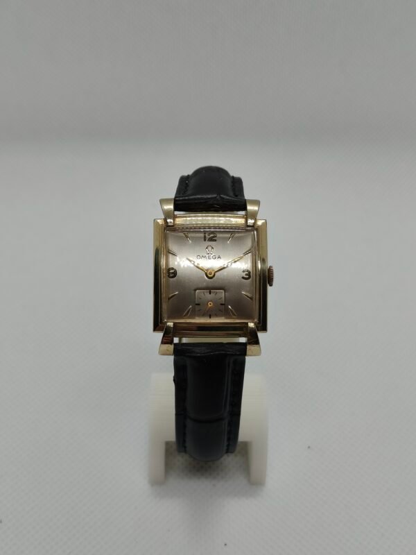 Omega 'Cioccolatino'