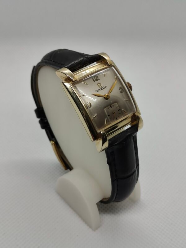 Omega 'Cioccolatino'