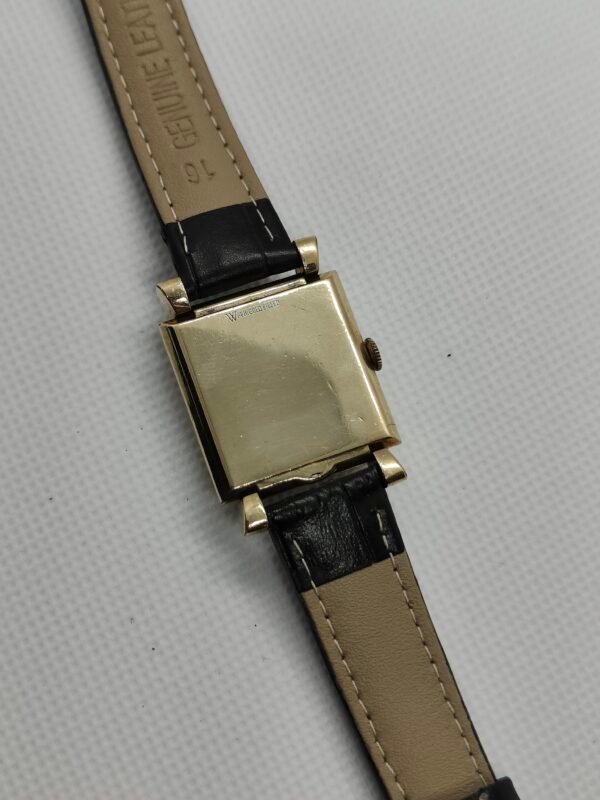 Omega 'Cioccolatino'