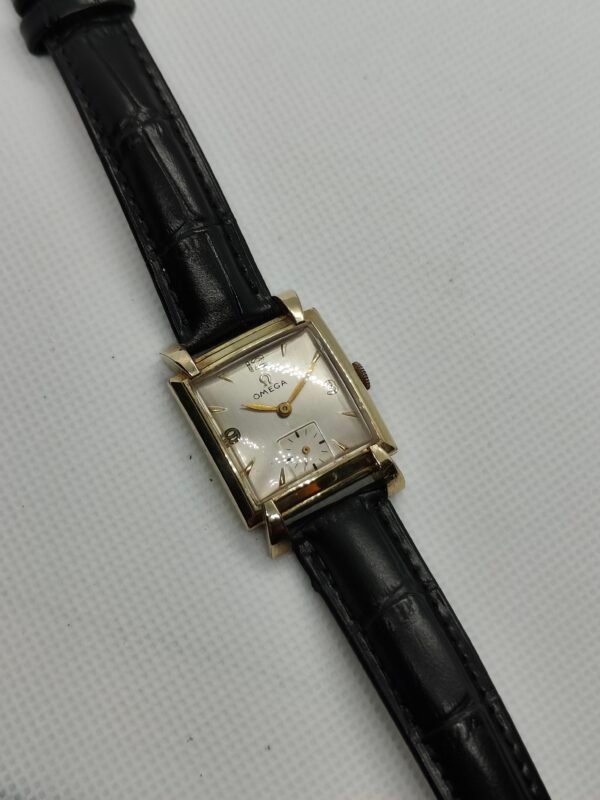 Omega 'Cioccolatino'