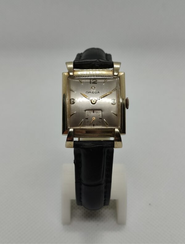 Omega 'Cioccolatino'