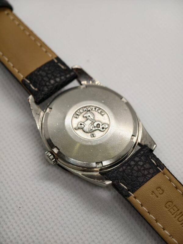 Omega Seamaster 166.010