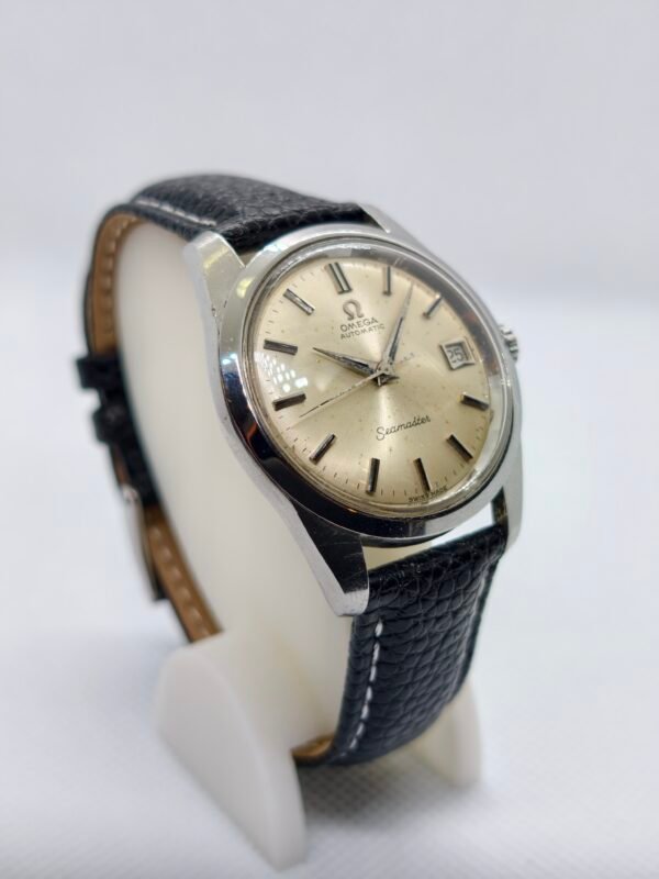 Omega Seamaster 166.010