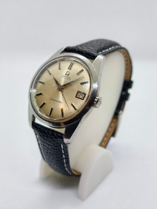 Omega Seamaster 166.010