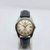 Omega Seamaster 166.010