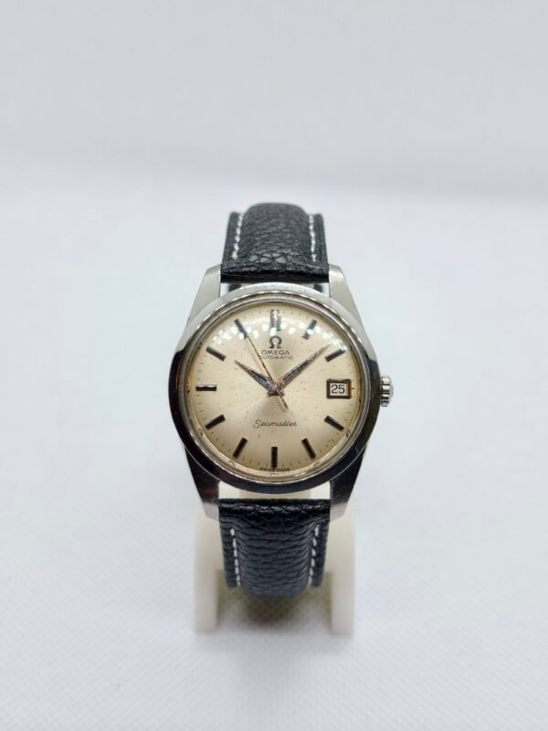 Omega Seamaster 166.010