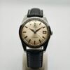 Omega Seamaster 166.010