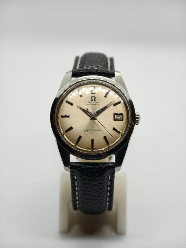 Omega Seamaster 166.010